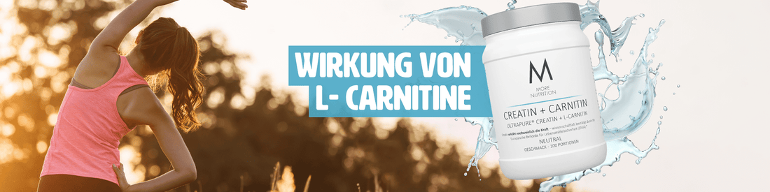 L-Carnitin Wirkung