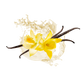 Splash Image