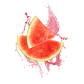 Splash Image
