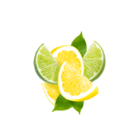 Lemon Lime Soda / 65ml
