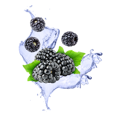 Splash Image