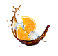 Splash Image