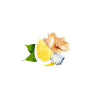 Ginger Lemon / 65ml