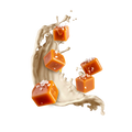 Salted Caramel V1 / 500g
