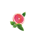 Grapefruit Mate Tea / 65ml