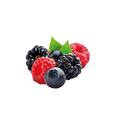 Wild Berry / 65ml