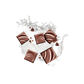 Splash Image