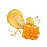 Creamy Honey Mustard / 285ml