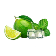 Lemonade Style Virgin Mojito / 600g