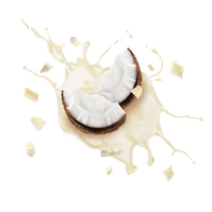 White Chocolate Coconut / 10 x 50g